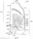Fig. 44 - Insect trap device and method of using