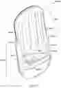 Fig. 73 - Insect trap device and method of using