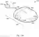 Fig. 99 - Insect trap device and method of using