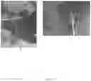 Fig. 03 - Biostimulants for enhancing crop productivity, methods and uses thereof