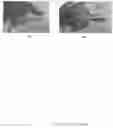 Fig. 04 - Biostimulants for enhancing crop productivity, methods and uses thereof