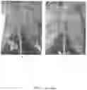 Fig. 05 - Biostimulants for enhancing crop productivity, methods and uses thereof