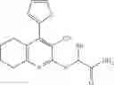 Fig. 87 - Acetyl-CoA carboxylase modulators