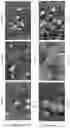 Fig. 04 - Compositions and Methods for Inhibiting Endospores Using Green Tea Polyphenols