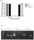 Fig. 04 - Compositions and methods for pest control management