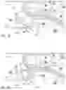 Fig. 11 - Apparatus and method for deboning poultry breasts