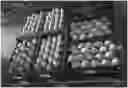 Fig. 01 - A METHOD FOR TREATING AND CONTROLLING POST-HARVEST PHYSIOLOGICAL DISORDERS IN FRUIT VIA EDIBLE COATINGS