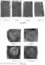 Fig. 08 - A METHOD FOR TREATING AND CONTROLLING POST-HARVEST PHYSIOLOGICAL DISORDERS IN FRUIT VIA EDIBLE COATINGS