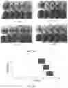 Fig. 16 - A METHOD FOR TREATING AND CONTROLLING POST-HARVEST PHYSIOLOGICAL DISORDERS IN FRUIT VIA EDIBLE COATINGS