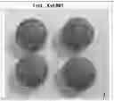 Fig. 01 - SUGAR COATING METHOD AND SUGAR COATED SOLID FORMS WITH IRREGULAR SHAPES