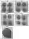 Fig. 02 - SUGAR COATING METHOD AND SUGAR COATED SOLID FORMS WITH IRREGULAR SHAPES