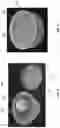 Fig. 04 - High pressure processing of foods and food supplements