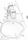 Fig. 07 - Loader funnel