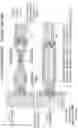 Fig. 105 - E-cigarette personal vaporizer