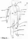 Fig. 05 - Medically Accessible Clothing