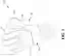 Fig. 02 - Protective Glove for Athletes