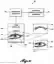 Fig. 05 - Methods for fabricating custom eyelash prostheses