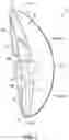 Fig. 03 - Footwear arch support