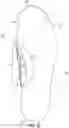 Fig. 17 - Footwear arch support