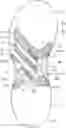 Fig. 01 - Shoe sole structure with reinforcement device