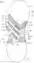 Fig. 02 - Shoe sole structure with reinforcement device