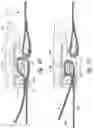 Fig. 07 - WEB ADJUSTER