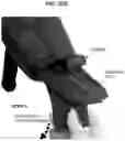 Fig. 32 - HOLSTER WITH ADAPTABLE POCKET