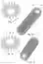 Fig. 05 - Cosmetic applicator