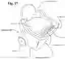 Fig. 16 - Bathing apparatuses and methods of making and using the same