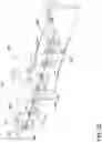 Fig. 24 - Surface cleaning apparatus having a fluid distributor