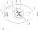 Fig. 25 - METHODS AND DEVICES FOR VISUALIZATION AND ACCESS