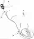 Fig. 02 - Skull-mounted drug and pressure sensor