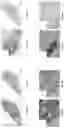 Fig. 12 - Systems, methods, and apparatus for multichannel imaging of fluorescent sources in real-time