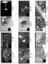Fig. 19 - Systems, methods, and apparatus for multichannel imaging of fluorescent sources in real-time