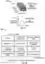Fig. 45 - Systems, methods, and apparatus for multichannel imaging of fluorescent sources in real-time
