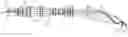 Fig. 01 - Apparatus for dental confocal imaging