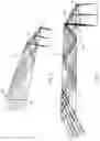 Fig. 04 - Apparatus for dental confocal imaging