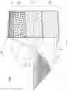 Fig. 05 - Bi-directional neuron-electronic device interface structures