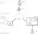Fig. 01 - Cardiac arrhythmia report