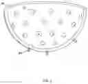 Fig. 06 - A Medical Imaging System and Method