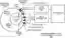 Fig. 01 - Contextually aware fetal sensing in transabdominal fetal pulse oximetry