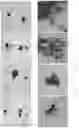 Fig. 12 - Method of making nanoparticle colloid and nanoporous layer