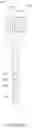 Fig. 44 - Method of making nanoparticle colloid and nanoporous layer