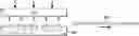 Fig. 01 - Prick test kit