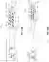 Fig. 20 - Electrode assemblies for neurostimulation treatment