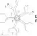 Fig. 74 - Electrode assemblies for neurostimulation treatment