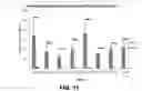 Fig. 08 - Determining a state of a solid tumor based on neural activity within the solid tumor