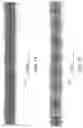 Fig. 15 - Determining a state of a solid tumor based on neural activity within the solid tumor