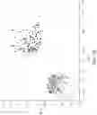 Fig. 19 - Determining a state of a solid tumor based on neural activity within the solid tumor