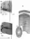 Fig. 01 - SENSOR AND TRANSMITTER PRODUCT